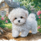 Preview: Diamond Painting Malteser Welpe